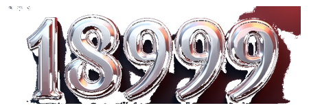 18999 logo